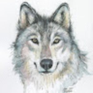 Meet your Posher, Diesel